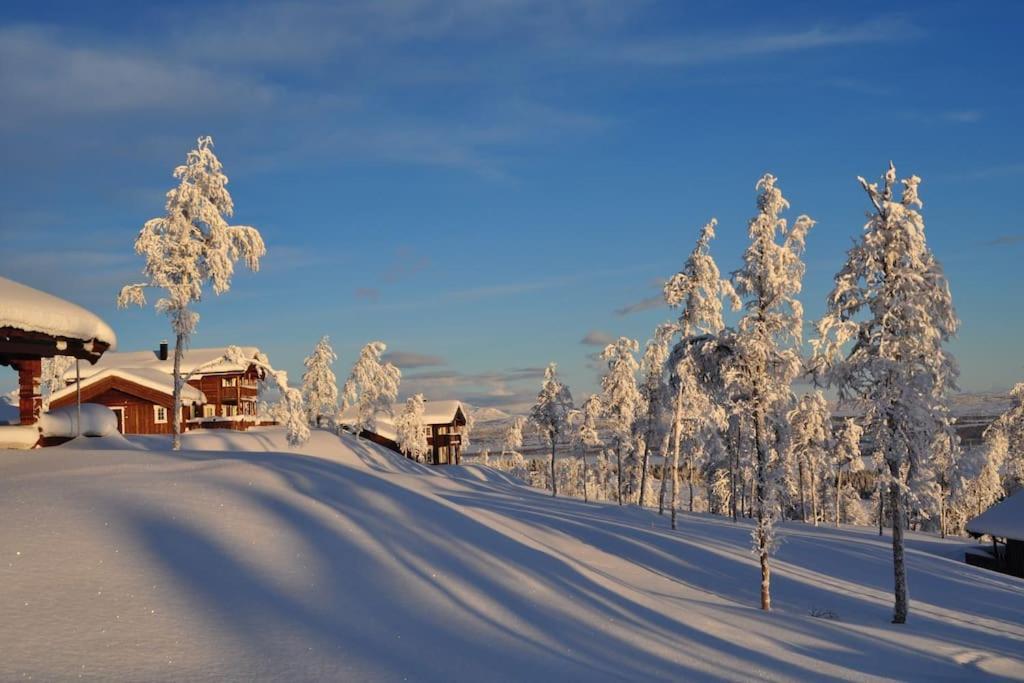 Flott Fritidsleilighet I Bualie Pa Golsfjellet Luaran gambar