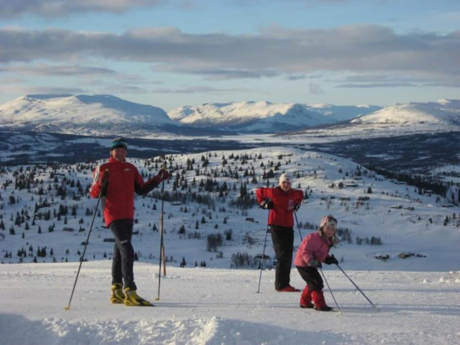 Flott Fritidsleilighet I Bualie Pa Golsfjellet Luaran gambar