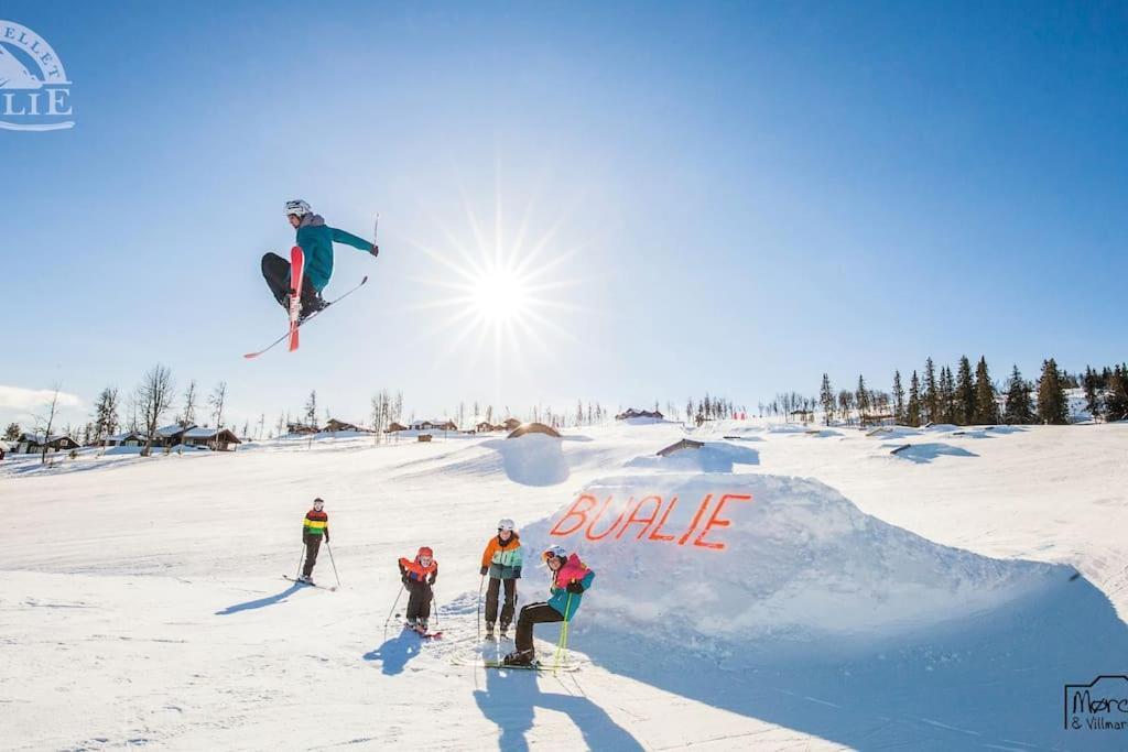 Flott Fritidsleilighet I Bualie Pa Golsfjellet Luaran gambar